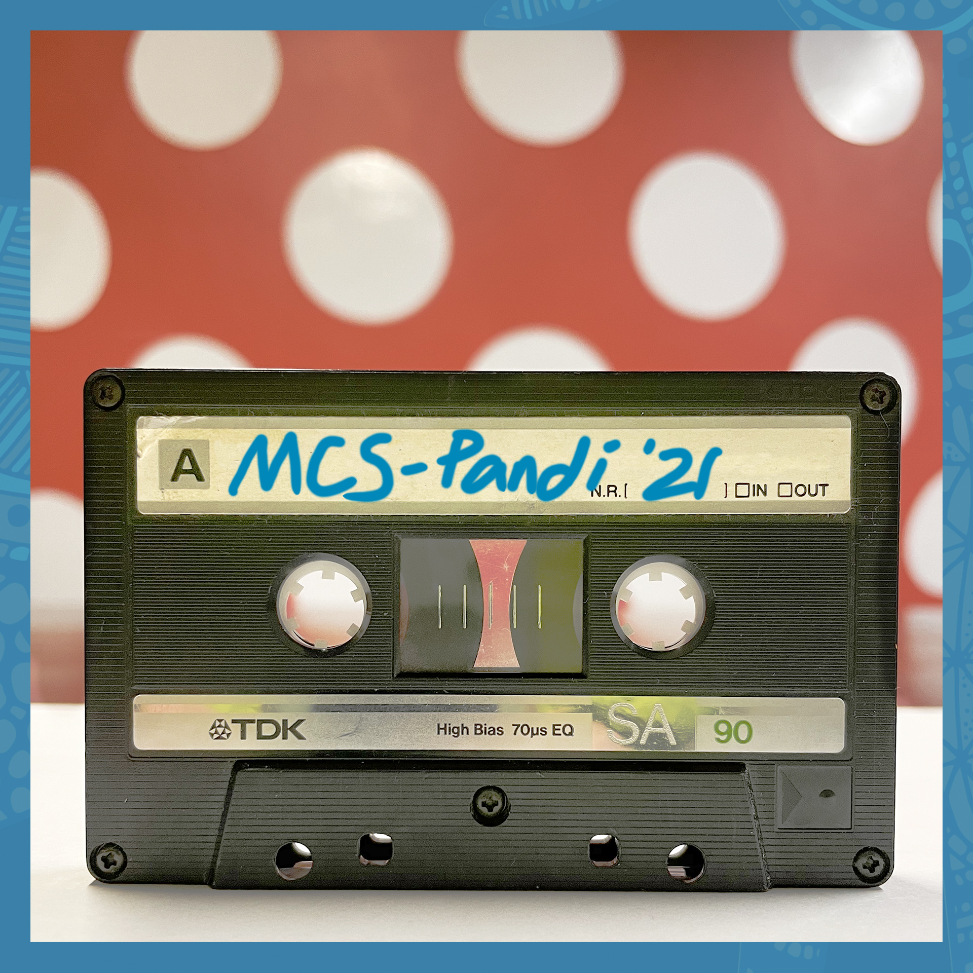 MCS PANDI ‘21